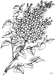 Pin On Downloads And Sketches 4