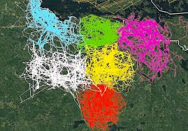 The park is notable for its outstanding water resources and is popular with canoeists, kayakers, other boaters, and fish. An Image Of Gps Tracking Of Multiple Wolves In Six Different Packs Around Voyageurs National Park Shows How Much The Wolf Packs Avoid Each Other S Range Image Courtesy Of Thomas Gable Mapporn