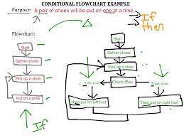 conditional flowchart science showme