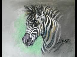 Zebra Veulen Tekenen Met Pastel Potlood Gekleurd Papier Youtube Dieren Tekenen Zebra Tekening Zebra S