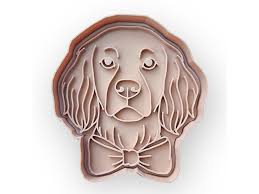 Image result for Malý münsterlandský ohař