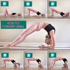 Step By Step Dwi Pada Viparita Dandasana Forearm Wheel Pose Back Strengthening Exercises Strengthen Shoulders Wheel Pose