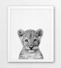 Baby Black And White Lion Pictures Safari Animals Nursery Decor Animals Print Set Of 4 Baby Etsy In 2020 Safari Animals Nursery Modern Art Printables Animal Nursery Decor