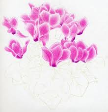 Pics For Flower Pot Drawing In Pencil Shade Flower Art Colour Pencil Shading Pencil Drawings