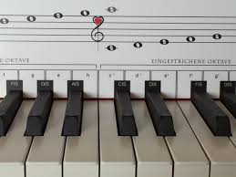 Die gleichen notennamen mit unterschiedlicher. Passt Perfekt Hinten Den Schwarzen Tasten Der Meisten Klaviere Pianos Oder Keyboards Klavier Lernen Klavier Klaviernoten Lernen