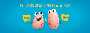 Testicular cancer is a relatively rare type of cancer that affects the testicles. Nad Tad The Shorty Awards