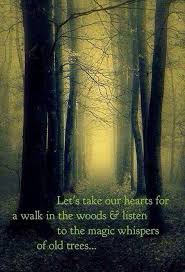 A Walk In The Woods Into The Woods Quotes Nature Quotes Tree Quotes