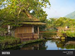 Feeding koi at different temperatures. Oshino Hakkai Fuji Image Photo Free Trial Bigstock