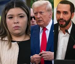 How can Trump travel as a felon?