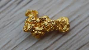 Последние твиты от denver nuggets (@nuggets). ÙŠØ¹Ù„Ù… ÙƒÙ…Ø§Ù† Ø¨Ø§Ø±Ø¹ Goud Nugget Kopen Analogdevelopment Com