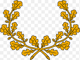 Das trikot ist von hummel und atmungsaktiv, schnelltrocknend und besteht aus einem leichten material. Danemark Png Pngegg