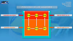 ¿cuáles son los jugadores de voleibol? Facebook