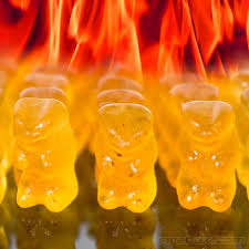 Want To Get A Kid To Stop Eating Candy Give Em On Of These Hot Gummi Bears With Habanero Chili Gummy Bears Gummies Stuffed Hot Peppers