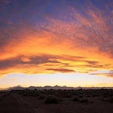 Profile for Independent Consultant Regina Ivie