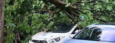 In südtirol stürzten bäume um und bäche wurden. Schaden Durch Unwetter Wann Zahlt Welche Versicherung Das Erste