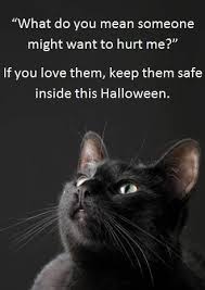 Why You Should Keep Your Black Cat Inside Around Halloween It S Good To Keep All Cats Inside All The Time At Catfaeries Com Halloween Animals Cats Black Cat