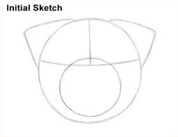 Now draw a long line from the top of the head to make the back line. How To Draw A Pug Head Detail