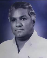 Tiburones o Delfines: La franquicia de Puerto Plata