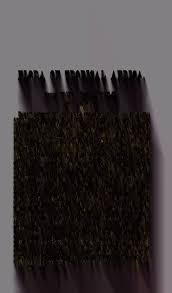 Image result for Pandiaka welwitschii