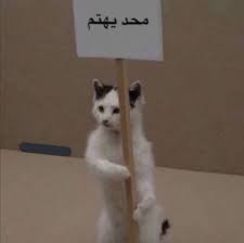 pin by asma love on jj memes funny faces funny photo memes funny picture jokes
