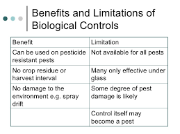Biological pest control method of controlling and getting rid of pests is way better and environmentally friendly as compared to others. Rhs Year 2 Week 17 Presentation