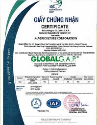 Best Price K-Agriculture Japonica 5% broken with high quality
