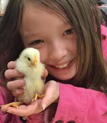 2018 Illinois 4-H CloverSeed by Illinois 4-H