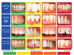 Suite Hygiene Forms Suite Tooth