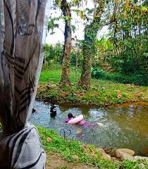 Berlokasi di kampung chemperoh homestay yang satu ini menawarkan sensasi menginap dengan suasana yang menenangkan. Depan Sungai Janda Baik Chalet Ni Antara Yang Best Untuk Bercuti Dalam Kawasan Yang Sejuk Dan Nyaman Port Cuti