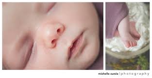 Michelle Curcio Photography, LLC