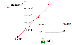 How To Make A Lineweaver Burk Plot In Excel?