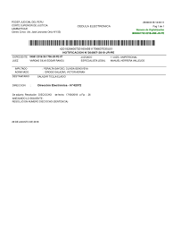 Delito: Falsedad ideologica-VICTOR ADRIAN IDROGO SALAZAR