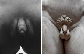 King Cum Slut FTM (@JBoyVile)  Posts  X