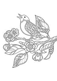 Free printable complex coloring pages. Complex Coloring Of A Bird Razukraski Com