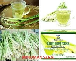 Serai ialah antara tanaman beraroma yang sering digunakan dalam masakan di malaysia. Serai Dan Minuman Serai Yang Berkhasiat Blog Santai Santai Jerr