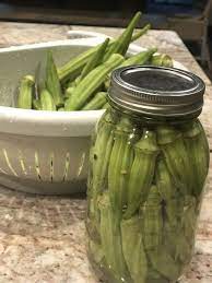 Complete guide to home canning. Fermented Pickled Okra The Health Nut Mama