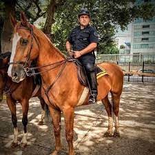 Sep 29, 2020 · el gobierno decretó duelo nacional en todo el país en homenaje al integrante de la policía federal argentina (pfa) apuñalado este lunes en palermo chico, juan pablo roldán. El Gobierno Decreto Duelo Nacional Por El Policia Asesinado En Palermo