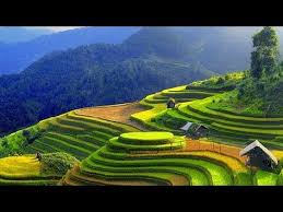 Ahh lebay :v baca juga: 70 Ide Pemandangan View Pemandangan Alam Foto Alam