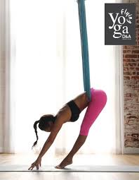 Yoga Thedanda Com Aerial Yoga Abs And Cardio Workout Aerial Yoga Poses