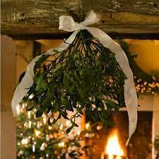Mistletoe Kiss In 2021 Mistletoe Kiss Mistletoe Christmas Decorations