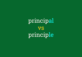 Calculate how much of each debt payment goes to principal or interest. Principal Vs Principle Dictionary Com