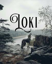 Kimora Adli Kullanicinin Kelimeler Panosundaki Pin Bebek Isimleri Erkek Kiz Bebek Isimleri Loki
