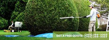 Register here and see full info on viana lawn care plus ratings and reviews of 622 other local lawn mowing services and many thousands of other service companies and professionals, free to you for 30 days. Viana Lawn Care Home Facebook