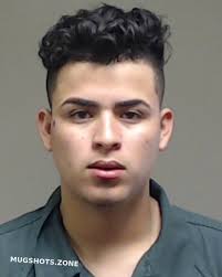 GONZALEZ SALGUERO RONY ARIEL 12/31/2024