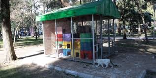 Bornova Belediyesi Kedi Evi Outdoor Cat House Kamusal Alanlar Kedi Kedi Evi