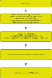 Changes in the frequency of bowel movements symptoms of bowel obstruction such as abdominal distention or pain unexplained or persistent nausea or vomiting Anal Cancer Springerlink