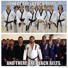 Pin By Benjamin Cameron On Jiu Jitsu Martial Arts Boxing Martial Arts Bjj Memes