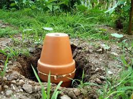 Make Your Own Ollas Garden Watering System Garden Irrigation Water Garden