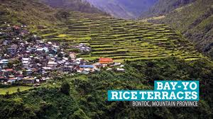 Bontoc, mountain province on wn network delivers the latest videos and editable pages for news & events, including entertainment, music, sports, science and more, sign up and share your playlists. The Bay Yo Rice Terraces And The Mysterious Waterfall Bontoc Mountain Province The Poor Traveler Itinerary Blog