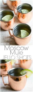 Moscow Mule Jello Shots Home Made Interest